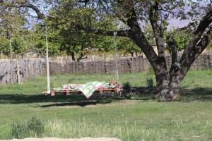 Jurten Camp Almaluu, Ton