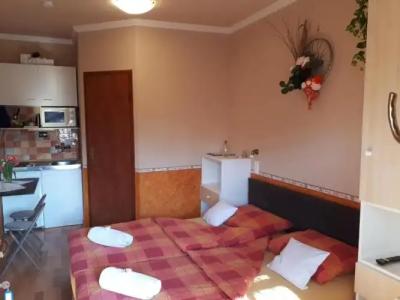 Mini Vendégház Budaörs - 21