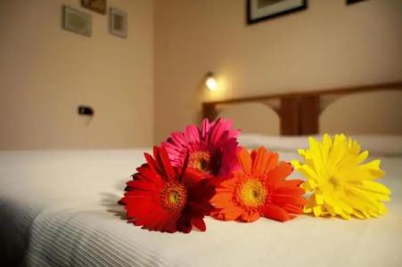 Bed and Breakfast L'Annunziata - 30