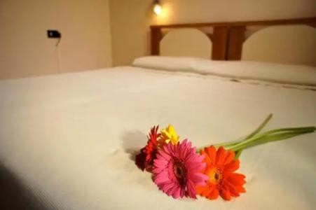 Bed and Breakfast L'Annunziata - 33