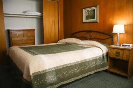 Chalet Lisl Lodge - 3