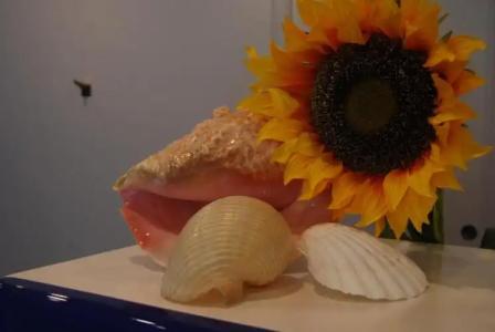 Residence Abruzzo Resort - 12