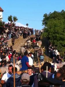 La Cantina del Convento - 19