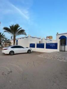 Alashkhara Beach Resort - 4