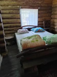 Nevido Tourist base - 41