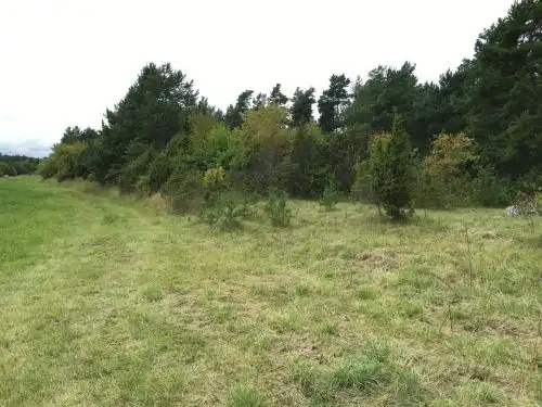 Salinõmme Campground - 7