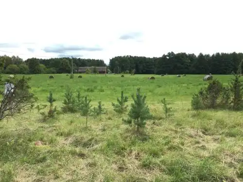 Salinõmme Campground - 11