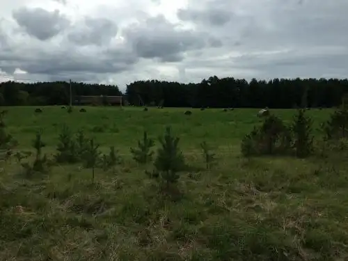Salinõmme Campground - 13
