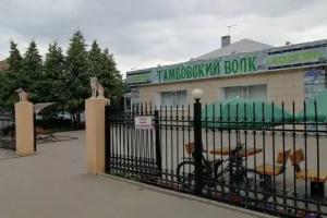 Hostelsky Volk, Tambov