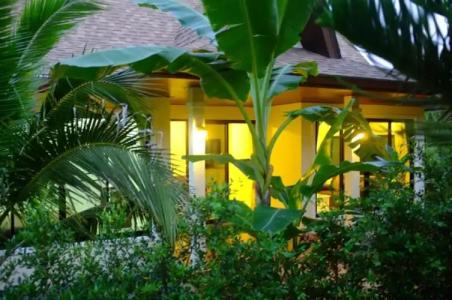 The Nature House Aonang Krabi Thailand - 10