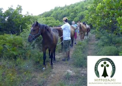 Arxontiko Mytilineou Skretaion - 15