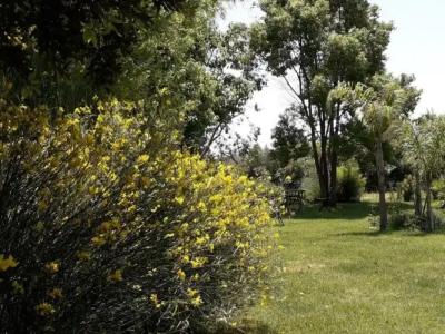 Casetta Vacanza in Campagna - 21