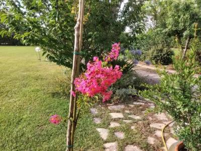 Casetta Vacanza in Campagna - 43