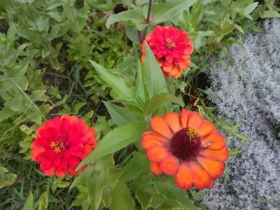 Casetta Vacanza in Campagna - 48