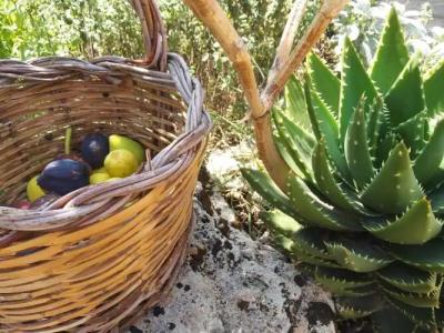 Casetta Vacanza in Campagna - 54