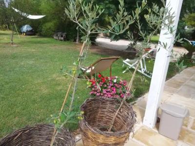 Casetta Vacanza in Campagna - 53