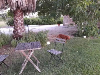 Casetta Vacanza in Campagna - 20