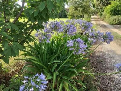 Casetta Vacanza in Campagna - 45