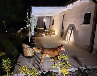 Casetta Vacanza in Campagna - 52