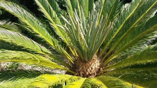 Casetta Vacanza in Campagna - 24