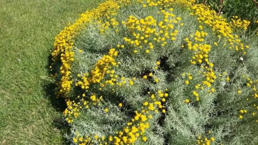 Casetta Vacanza in Campagna - 23