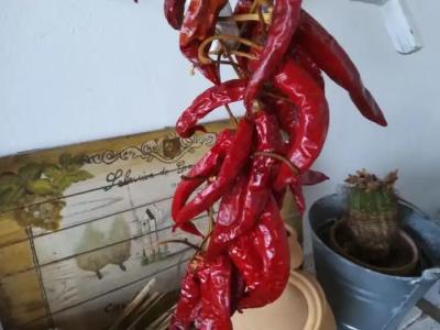 Casetta Vacanza in Campagna - 49