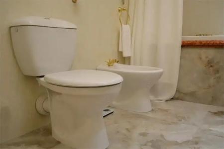 Taleon Imperial - 395