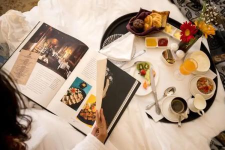 Baber Mahal Vilas - the Heritage - 10