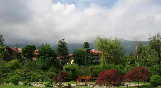 Tsarsko selo & SPA - 36