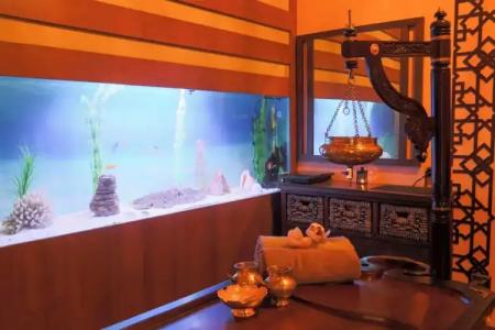 Tsarsko selo & SPA - 3