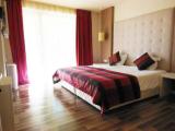 Deluxe Double room with balcony and with garden view