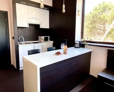 Verbena Plyazh - 113