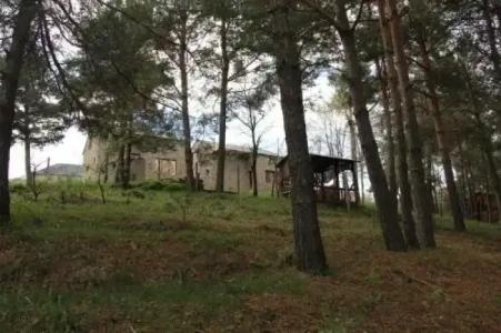 Pote - 5