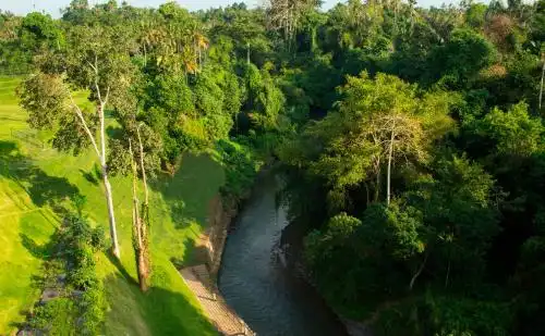 Sthala, A Tribute Portfolio, Ubud Bali - 76