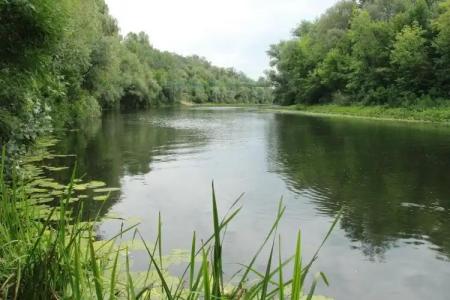 Оздоровчий комплекс "Нафтохімік", санаторій Івушка - 9