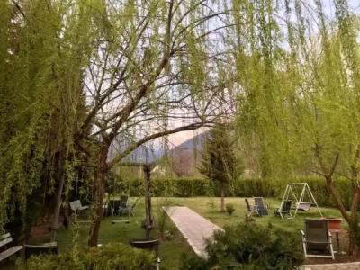 Green House - 6