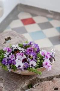 Ikastikies Suites - 60