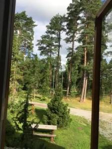 Voosemetsa Turismitalu - 16