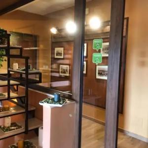 Terrazza Dell'Etna B&B - 9