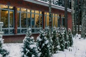 Eco park Korkino Lake Mini-hotel, Razmetelevo