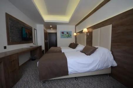 Sarikamis Habitat - 112