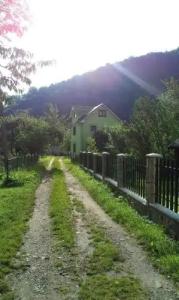 Boykivska Familiya - 3