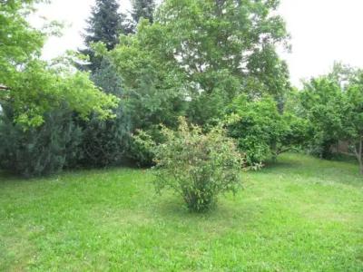 Budai Garden House - 9