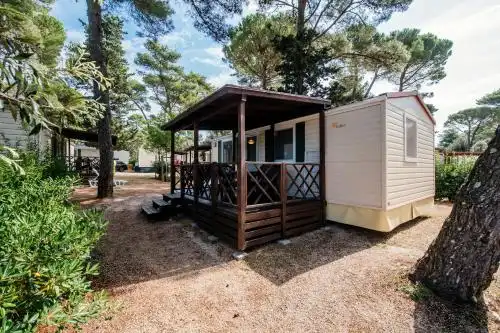 Zaton Holiday Resort Mobile Homes & Glamping Tents - 1