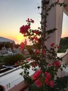 B&B Villa Cristina - 30