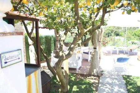 B&B Villa Cristina - 17