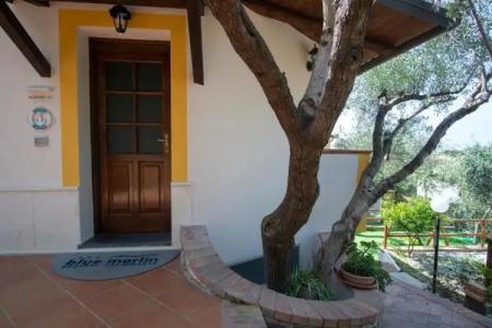 Blue Marlin Vacanze - 23