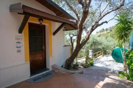 Blue Marlin Vacanze - 24