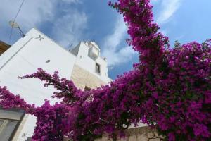Masseria Lamiola Piccola, Ostuni