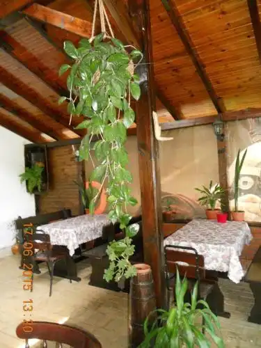 Diana Guest House - 15